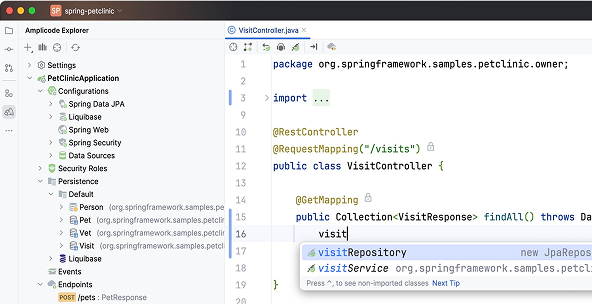 Скриншот интерфейса Amplicode